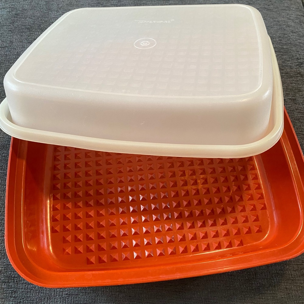 Vintage Tupperware Season N Serve Meat Marindade Rectangular